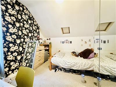 Picture 14